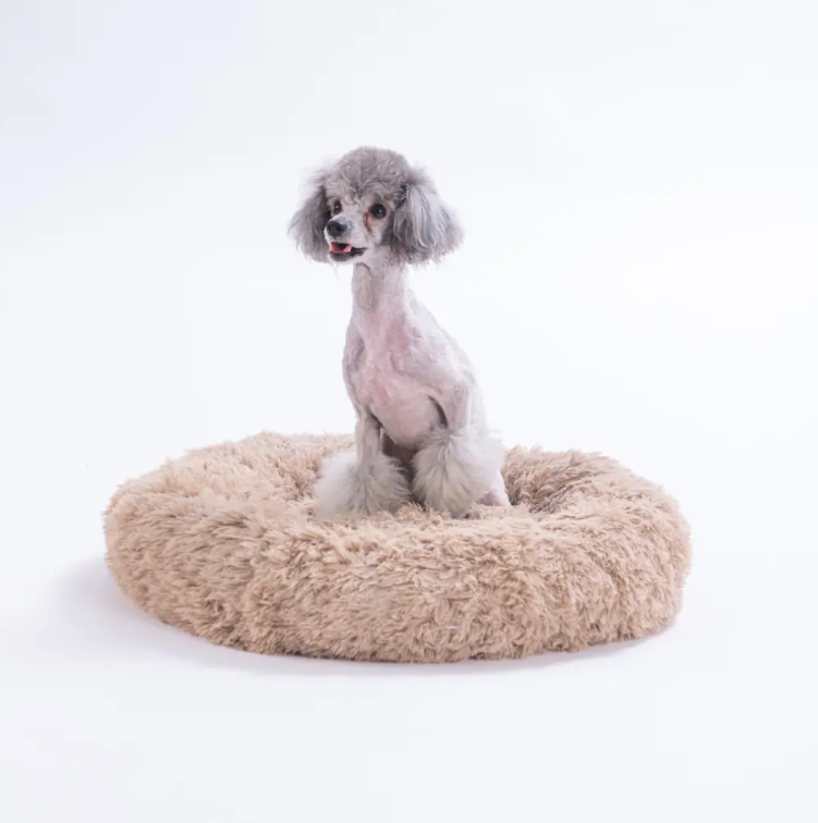 26652-Bej Donut Kedi Köpek Yatağı S