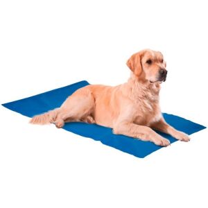 Nunbell Köpek Soğutucu Yatak 4xl 75*100 Cm