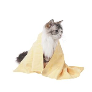 60106306 M-Pets Bathtime Kedi ve Köpekler İçin Hızlı Kuruyan Havlu Sarı