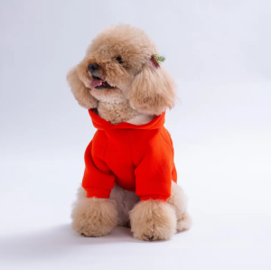 26709-Turuncu Bronx Brave Hoodie