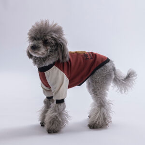 26714 Kahverengi Baby Teddy Sweat