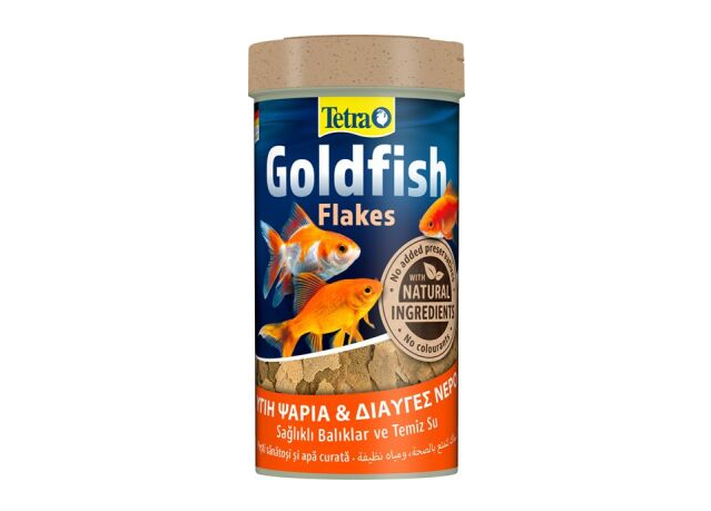 Tetra Goldfısh Japon Balığı Yemi 100 Ml Skt:08/28
