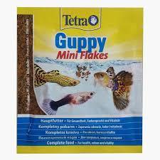Tetra Guppy Lepistes Yemi 12 Gr 25 Li Skt:04/29
