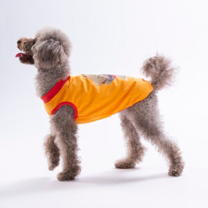 26808 Turuncu Donut Teddy Tişört (6'lı)