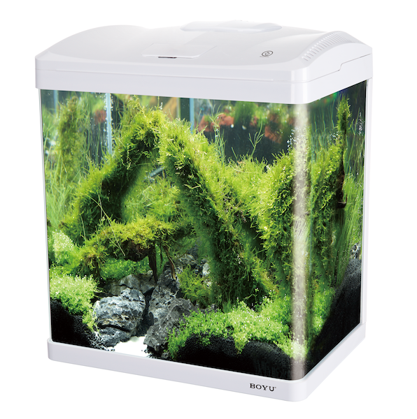 Ec-400 Boyu Akvaryum White 33L (38,2X26,1X45Cm)