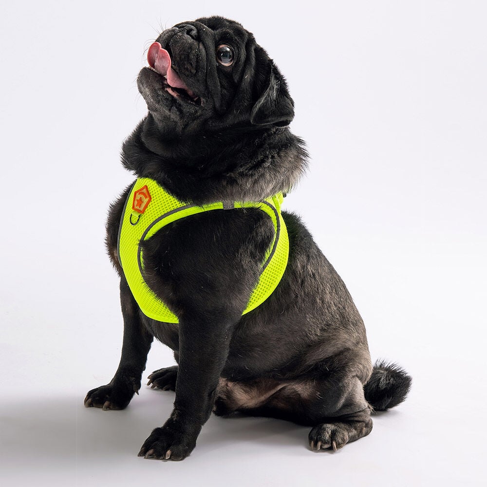 A01-Neon Sarı Airmesh L