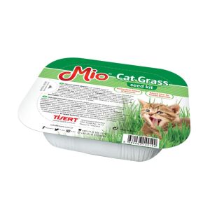 Mio Kedi Çimi