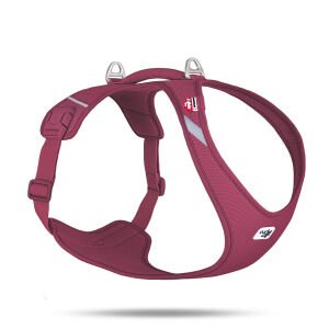 Curlı Belka Harness Aır-Mesh Ruby 4Xl