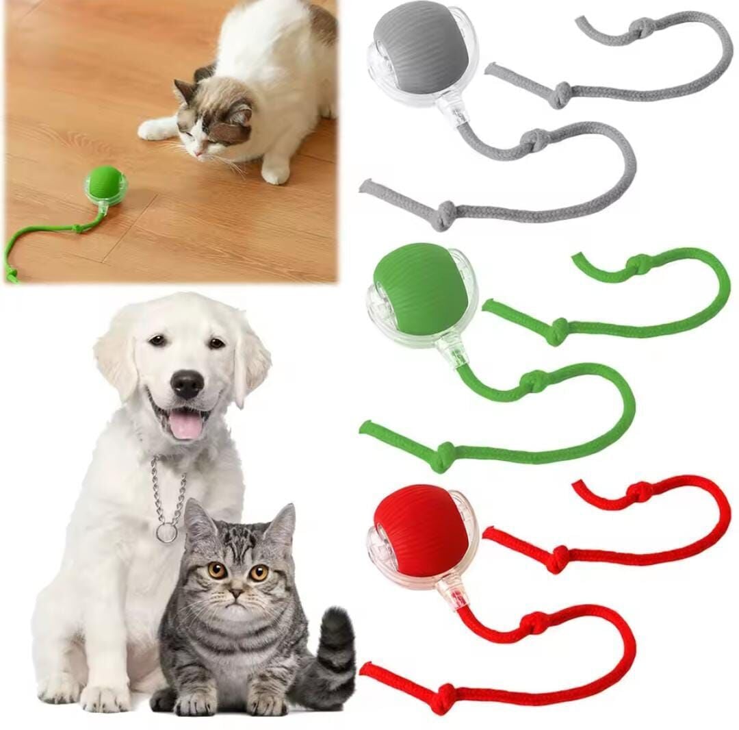 Mad USB Şarjlı İpli Hareketli Top Kedi Oyuncağı Çok Al Az Öde