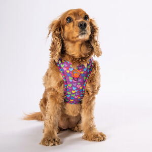 A23 Hearts Airmesh XS