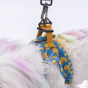 A28 Ducks Airmesh M