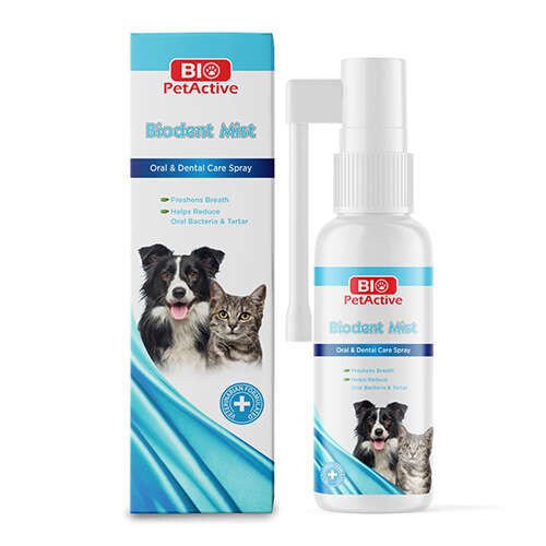 Bio Pet Active BioDent Mist Kedi Ve Köpek Ağız Bakım Spreyi 50 ml 12 li Skt: 12/26