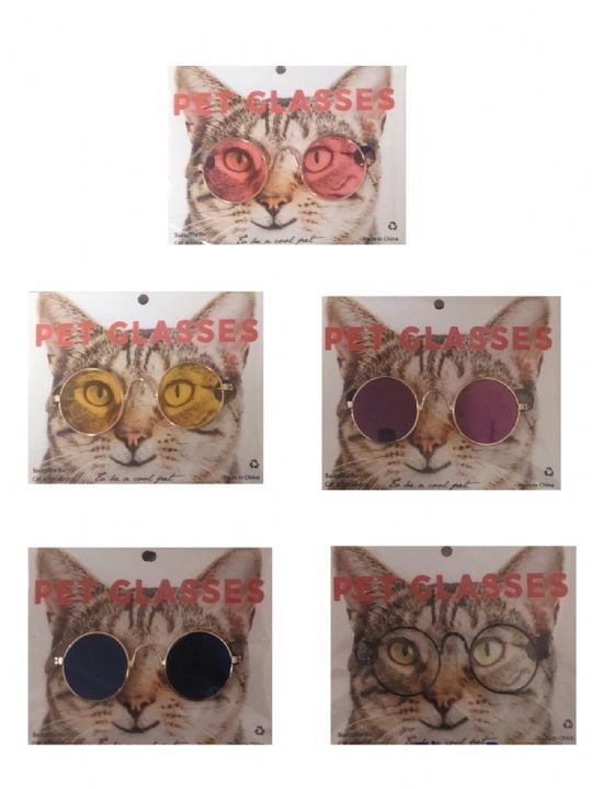 Eon Kedi Köpek Gözlük