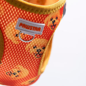 A31- Poodle Airmesh 2XS