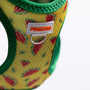 A32-Watermelon Airmesh 2XS