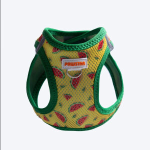 A32-Watermelon Airmesh XS