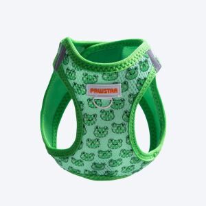 A33-Frog Airmesh XS