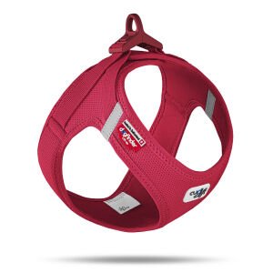 Curlı Vest Harness Curlı Clasp Aır-Mesh Red 2Xs