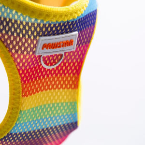 A34-Rainbow Airmesh M
