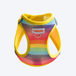 A34-Rainbow Airmesh L