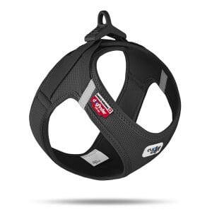 Curlı Vest Harness Curlı Clasp Aır-Mesh Black 2Xs