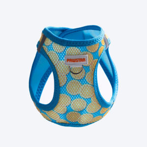 A37-Citrus Airmesh S