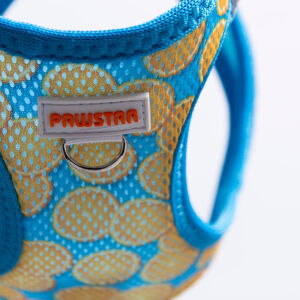 A37-Citrus Airmesh L