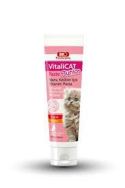 Bio Pet Active Vitalicat Junior Paste Yavru Kedi Vitamin Macunu 100 Ml 12'li Skt:05/28
