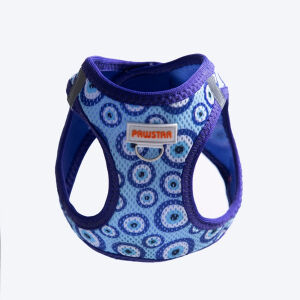 A38-Charm Airmesh 2XS