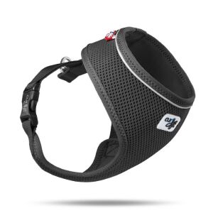 Curlı Basıc Harness Aır-Mesh Black S