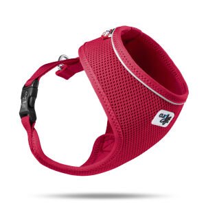 Curlı Basıc Harness Aır-Mesh Red Xl
