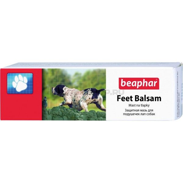 Beaphar Feet Balsam Pati Bakım Kremi 40 ml