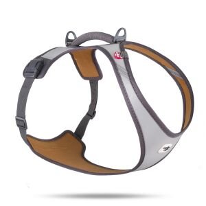 Curlı Glow Belka Harness Gray 2Xl