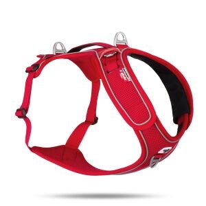 Curlı Belka Harness Adjustable Neck Red 3Xl