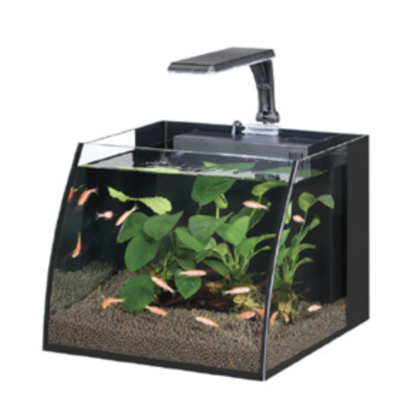 Haqos Belly Box 25 Led Aydınlatmalı Nano Akvaryum 11L Black