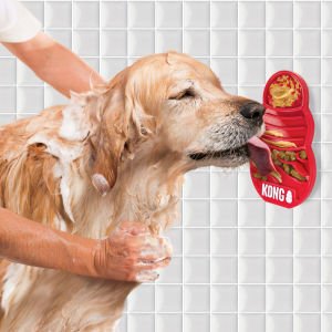 KONG Licks Köpekler için Sıvı Ödül Maması Oyuncağı L