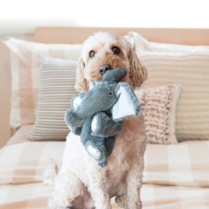 KONG Comfort Kiddos Aslan Şeklinde Peluş Köpek Oyuncağı L