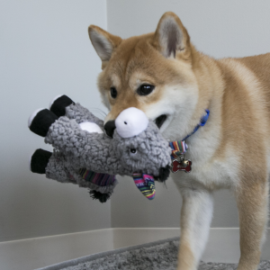 KONG Sherps Eşek Şeklinde Peluş Köpek Oyuncağı M
