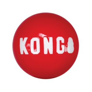 KONG Signature Ball Top Şeklinde Köpek Oyuncağı M
