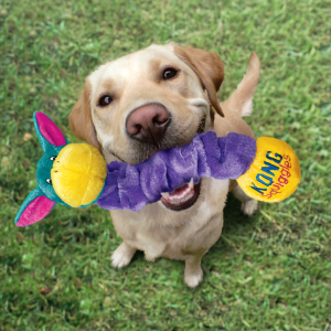 KONG Signature Rope Çift Tutma Uçlu İp Köpek Oyuncağı 55 cm