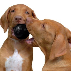 KONG Extreme Köpekler için Top Şeklinde Çok Amaçlı Isırma Oyuncağı Ultra Sert S