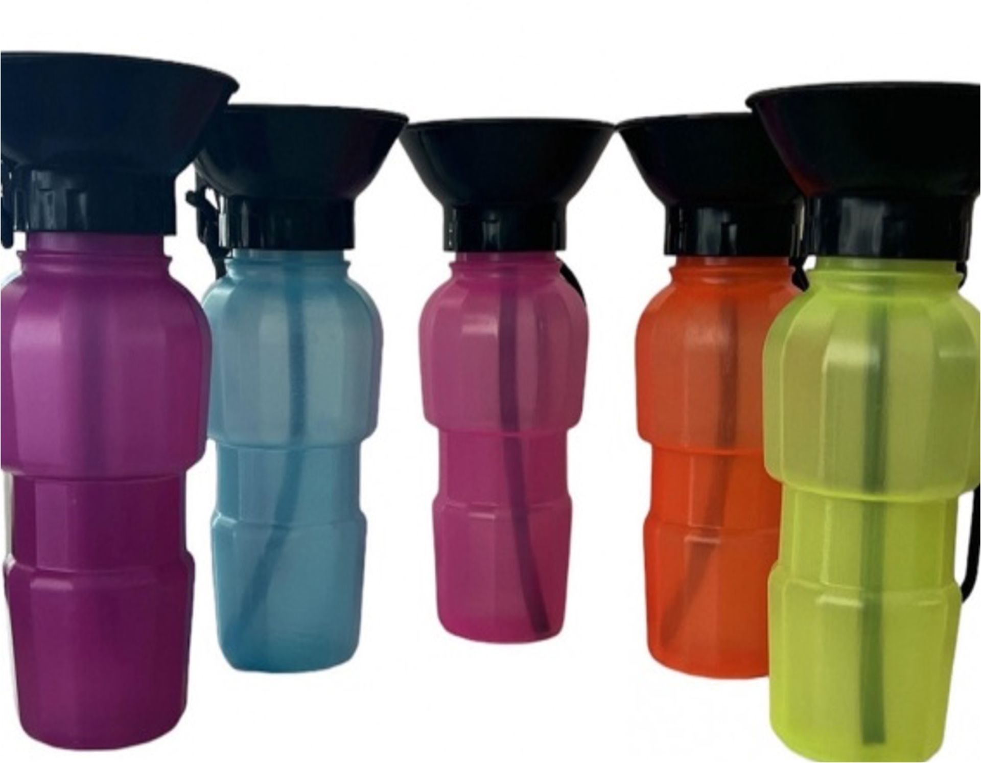 Evcil Hayvan Seyahat Suluğu