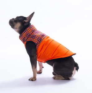 25102 Turuncu Elgin Paws Yelek