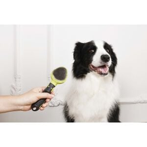 60107099 M-Pets Click And Groom İnce Telli Fırça