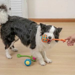 Silikon Köpek Çekiştirme Oyuncağı