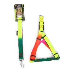 202497-Doglife Gökkuşağı Göğüs Tasması+Gezdirme 2,5Cm