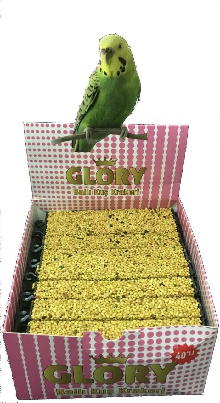 Glory Ballı  Muhabbet Kuşu Krakeri 40'Lı Paket