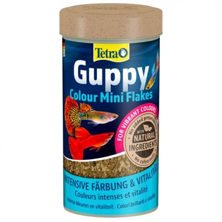 Tetra Guppy Colour Mini Flakes Lepistes Pul Balık Yemi 250 ml