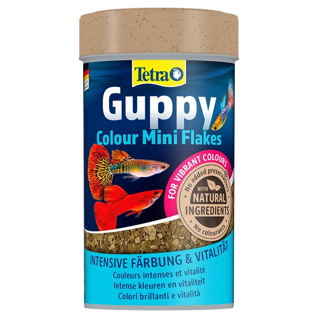 Tetra Guppy Colour Mini Flakes Lepistes Pul Balık Yemi 100 ml skt:05/28