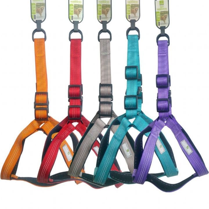  Nunbell Gögüs Tasması 2.5Mm